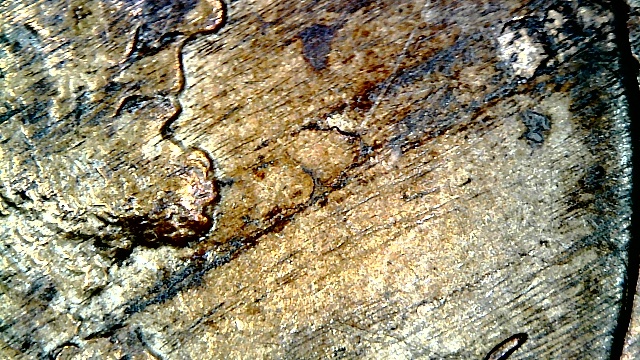 1916-LWC-Lamination-Error,-Over-Polished-Die,-Env-Damage-Or-All-Of-The-Abov