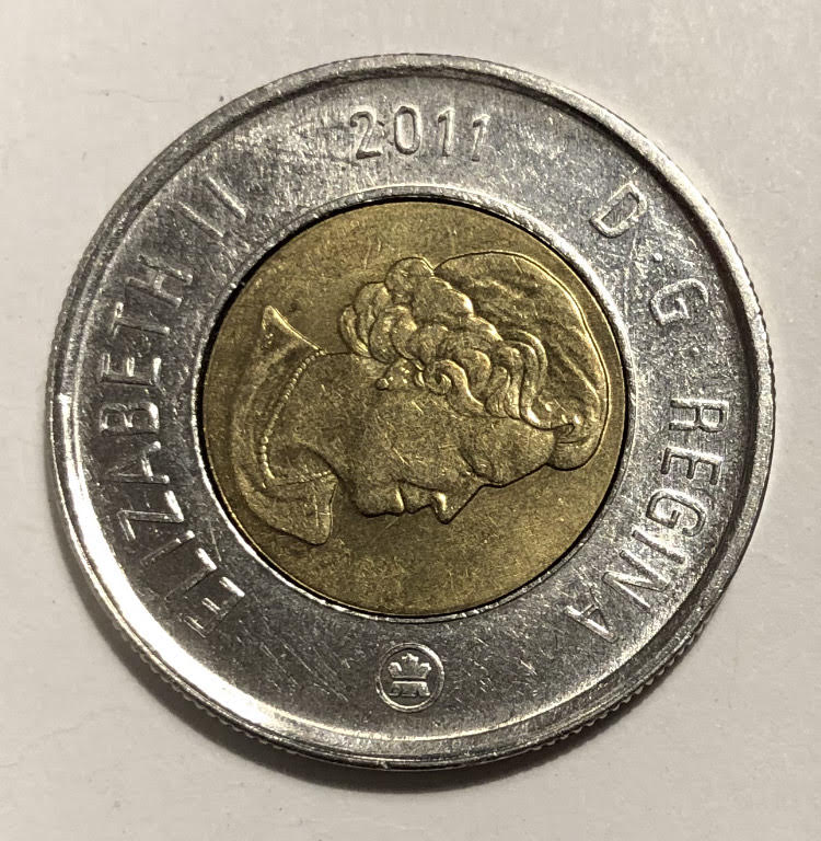 I-Believe-These-Are-Counterfeit-Toonies---What-Do-You-Think?