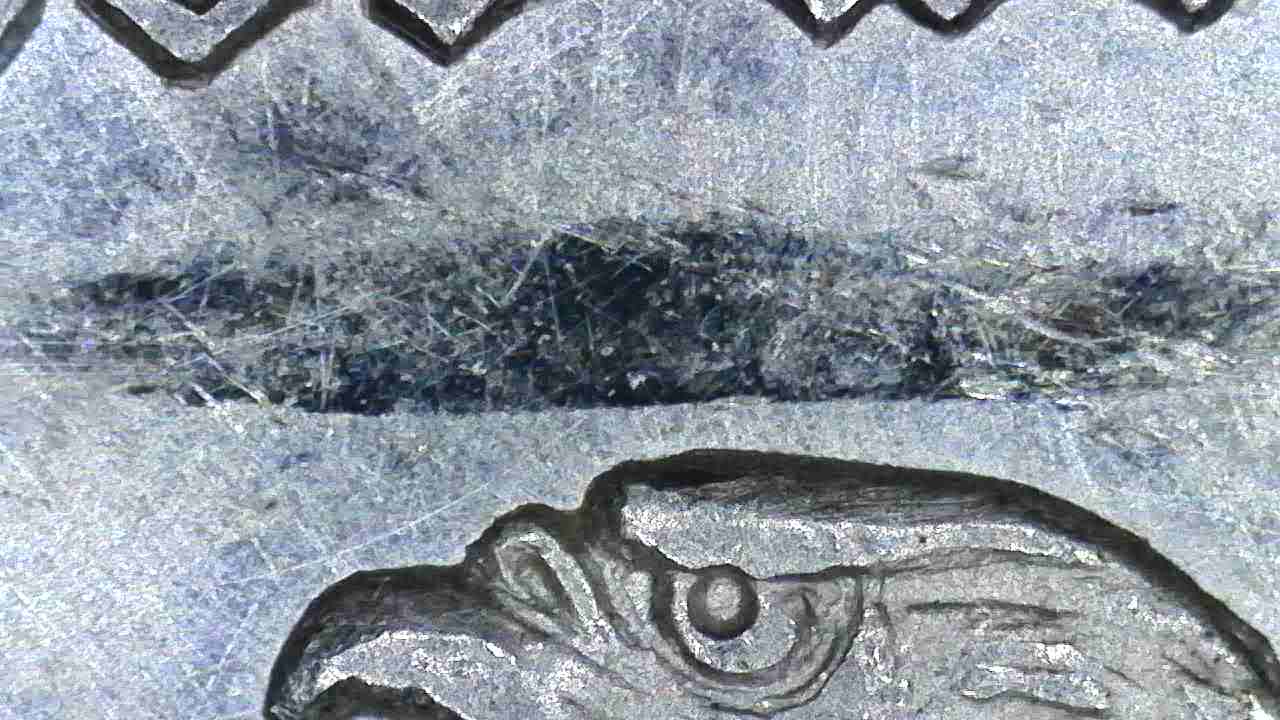 1921-Morgan-Need-Help-Locating-A-VAM-For-This-Coin