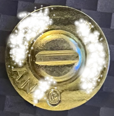 Things-That-Aren't-Actually-Coins,-But-Kinda-Look-Like-They-Could-Be