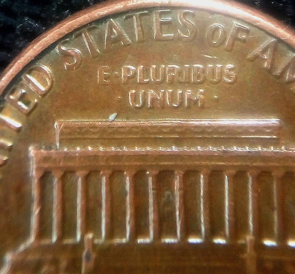 1983-Philadelphia-Lincoln-Cent-Doubled-Die-Reverse.