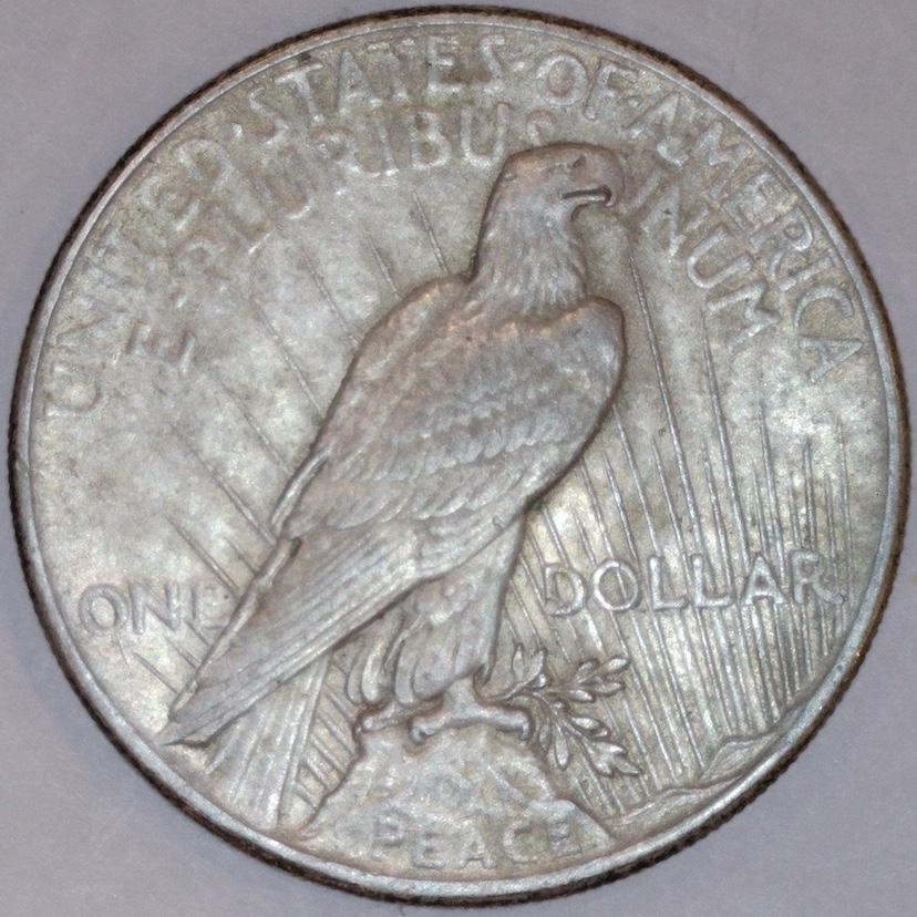 1925-P-Peace-Dollar-With-Dots.-How-Are-Dots-Formed?-VAM?