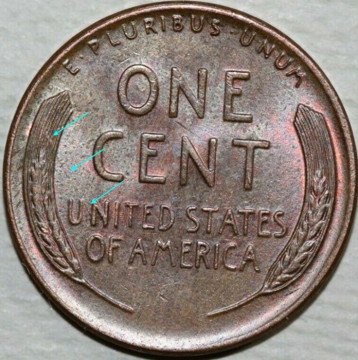 D'oh,-Don't-Know-If-I-Can-Prove-That-It-Is-1956-D-Cent