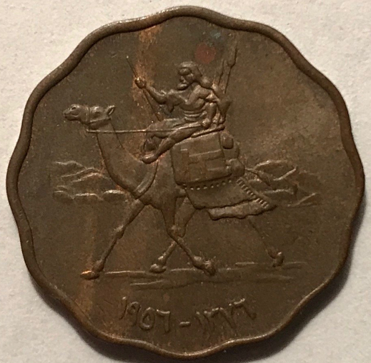 Post-Your-Coins-Representing-The-Animal-Kingdom.