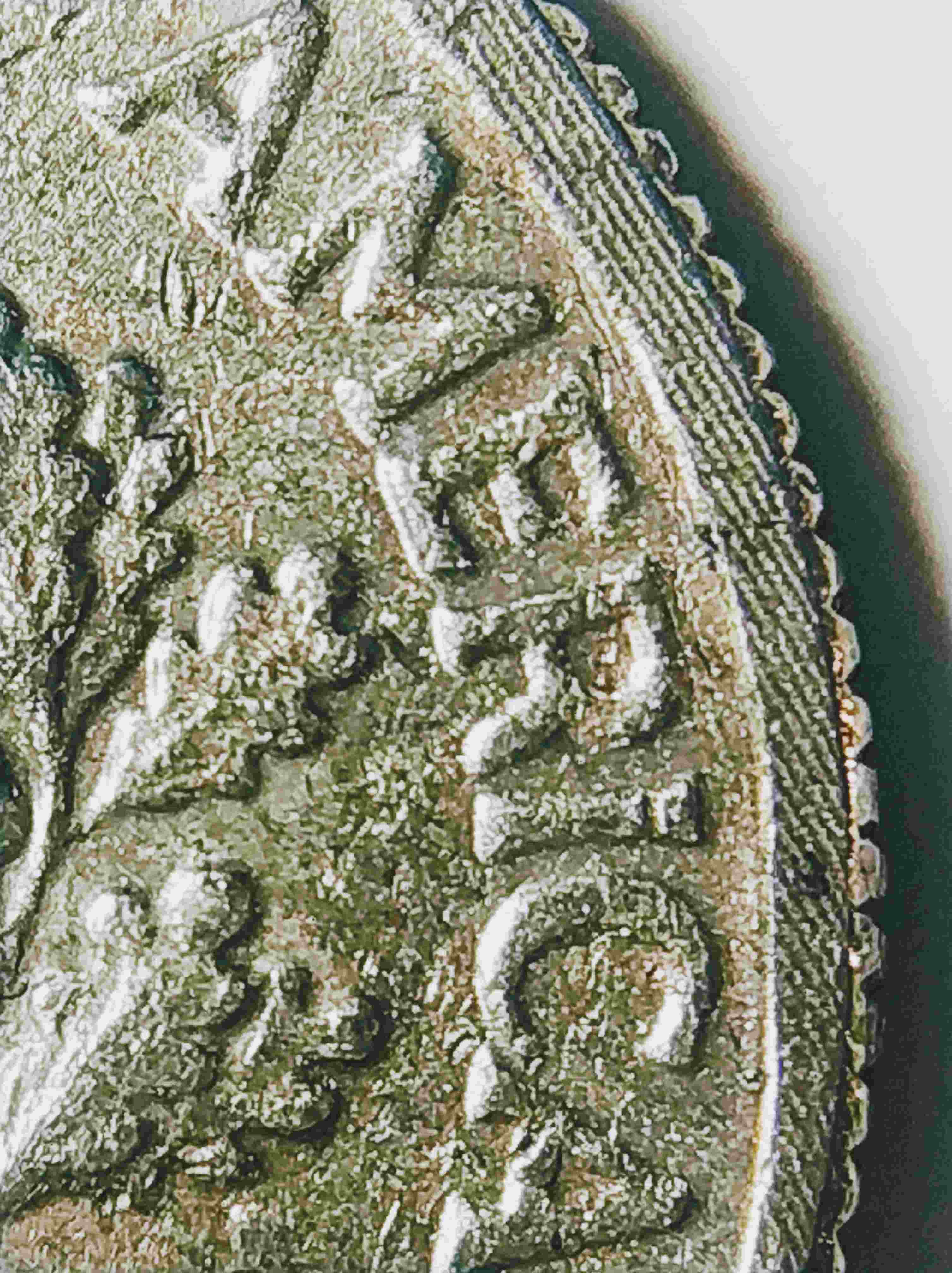 2013-P-Roosevelt-Dime-With-Checkered-Pattern-Lower-Flattened-Rim