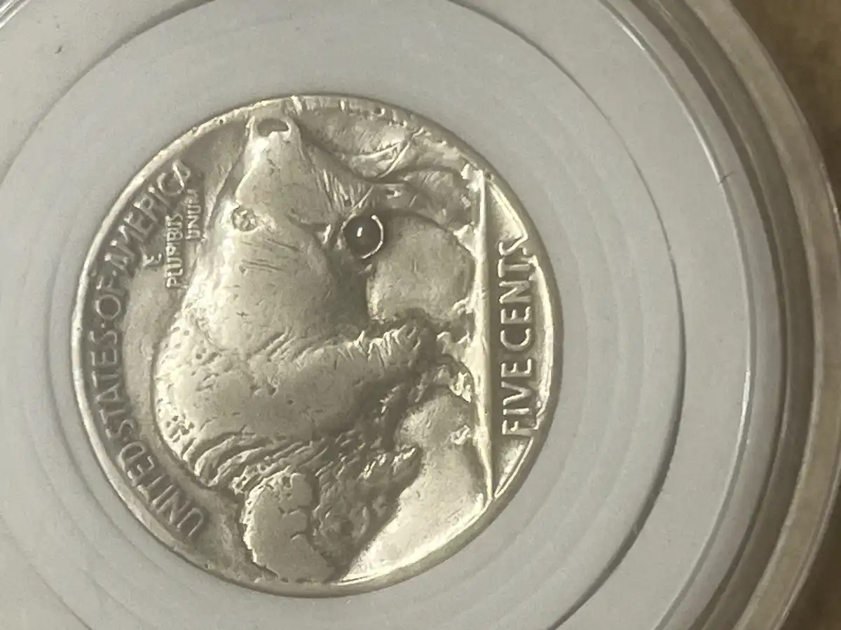 1936-Buffalo-Nickel-Oddity