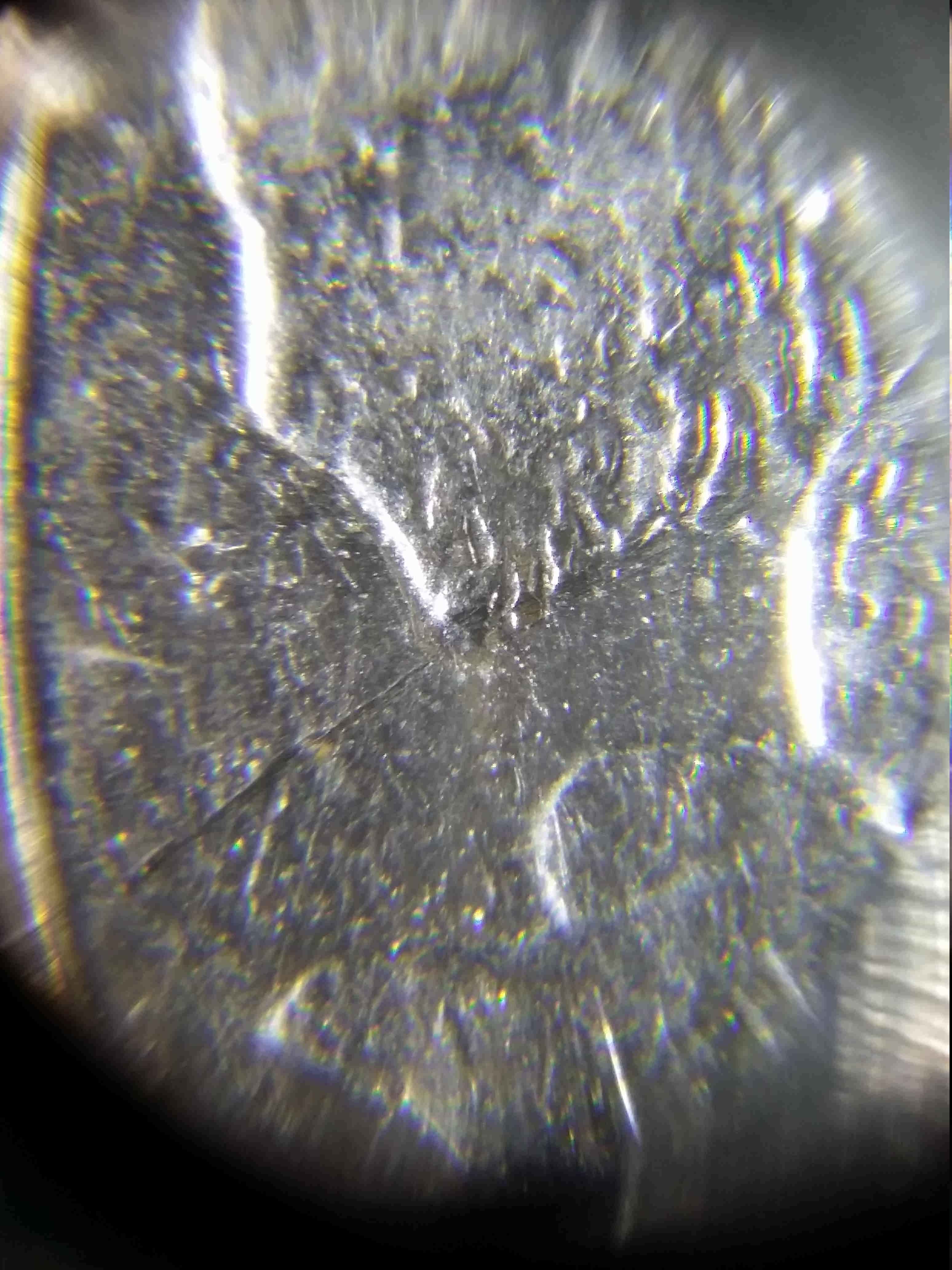 2006-Quarter-Speared-Bison?