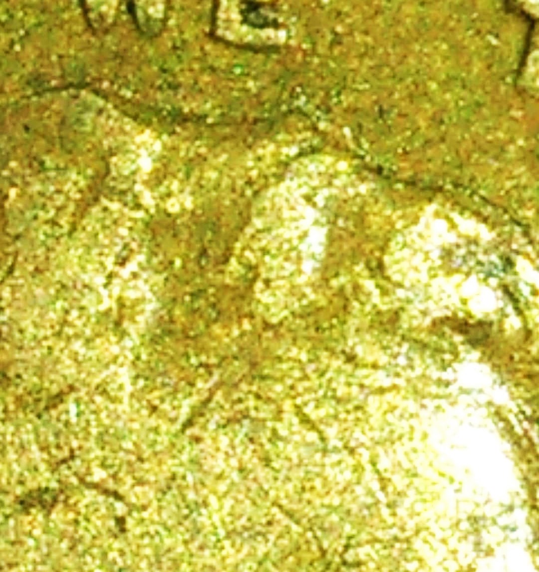 1942-Wheat-Penny-No-Mint-Crack-Around-Head?