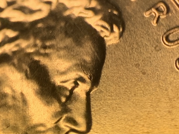 2025-P-Lincoln-Shield-Cent.-Die-Chip