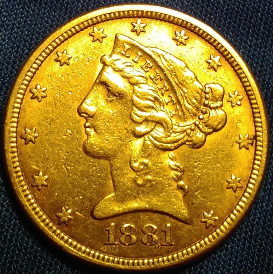 1881-$5-Half-Eagle---Please-Grade!