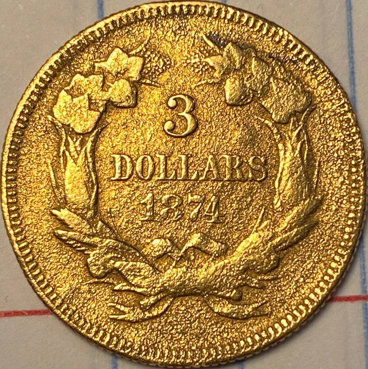 1874-$3-Indian-Princess-Head-~-Grade?-Thoughts?