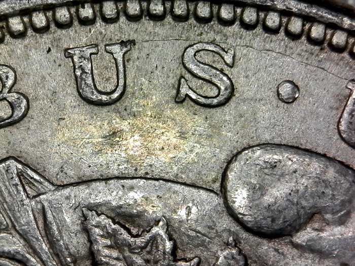 1921-Morgan-Dollar---Which-VAM?-Coin-20200112-003