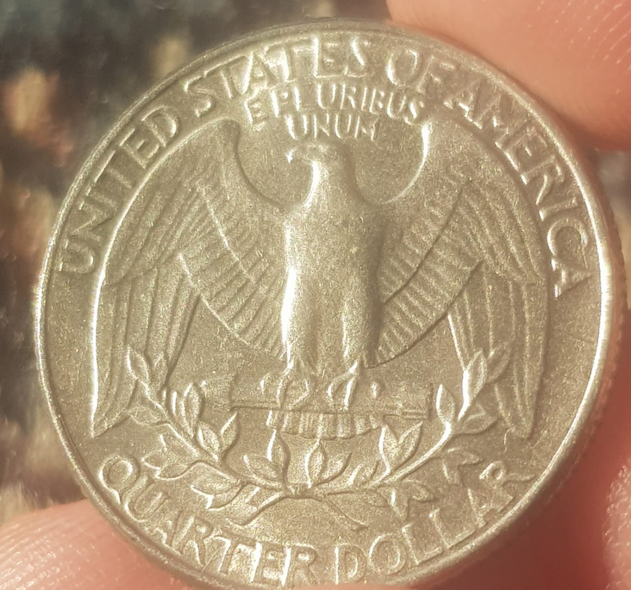1983-D-Quarter-Dollar-Grade-Help