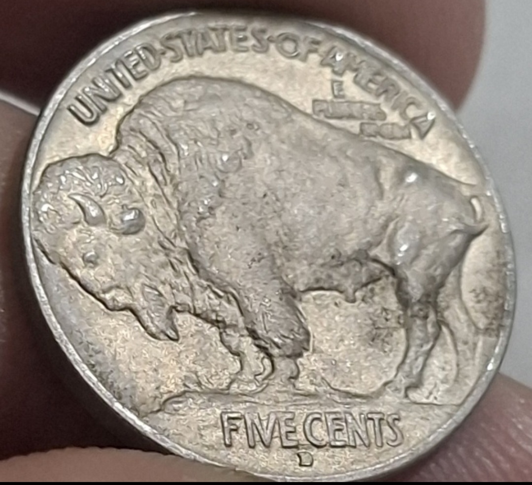 1913-D-Buffalo-Grading-Help