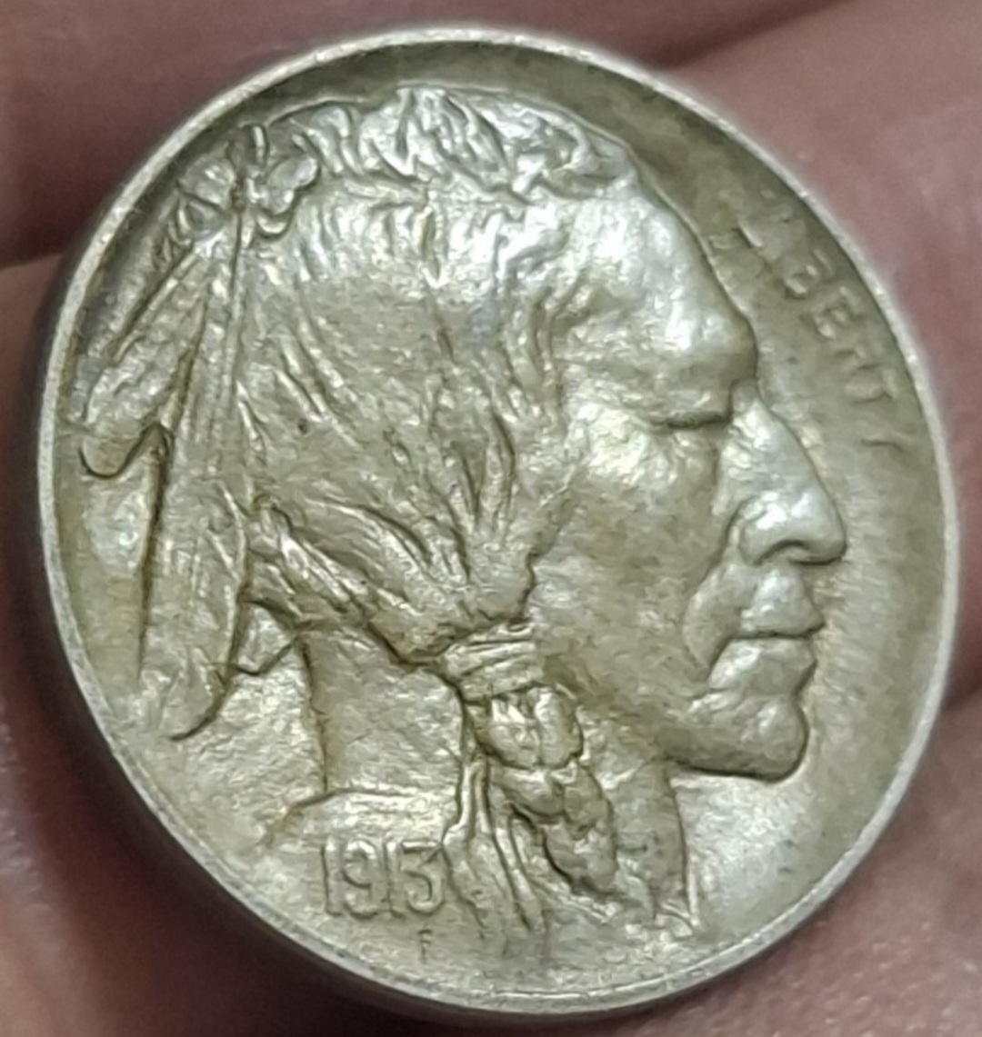 1913-D-Buffalo-Grading-Help