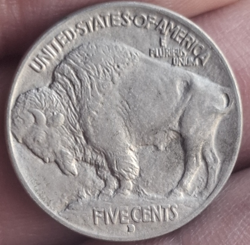 1913-D-Buffalo-Grading-Help