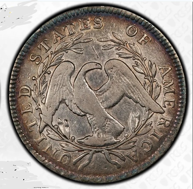 PCGS-Gave-This-1795-Half-Dollar-A-Details-Grade