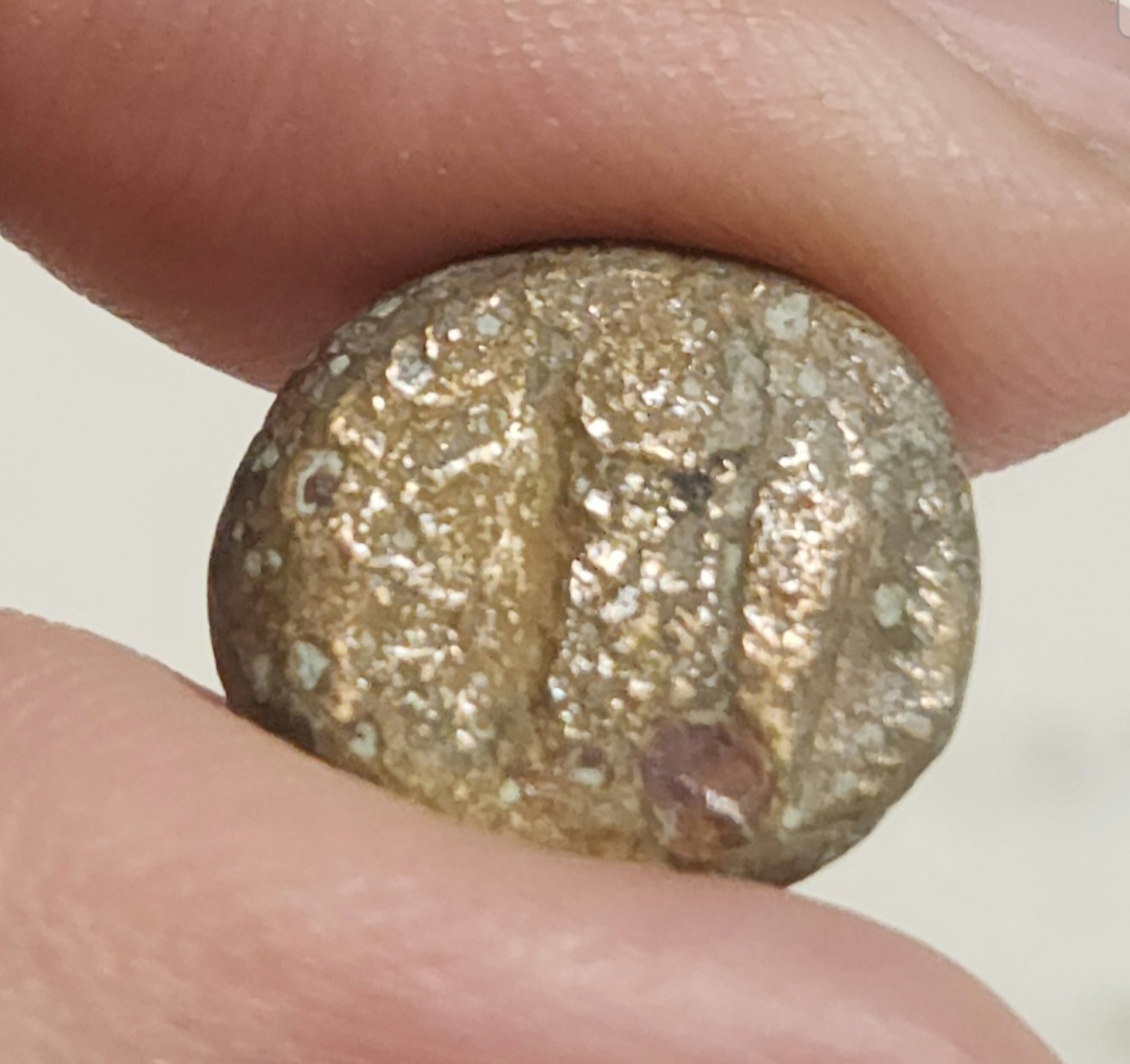 Possibly-Electrum-Ancient-Coin?