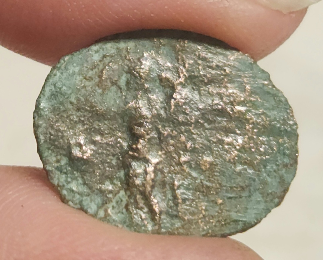 Antoninianus-Coins-Maybe?