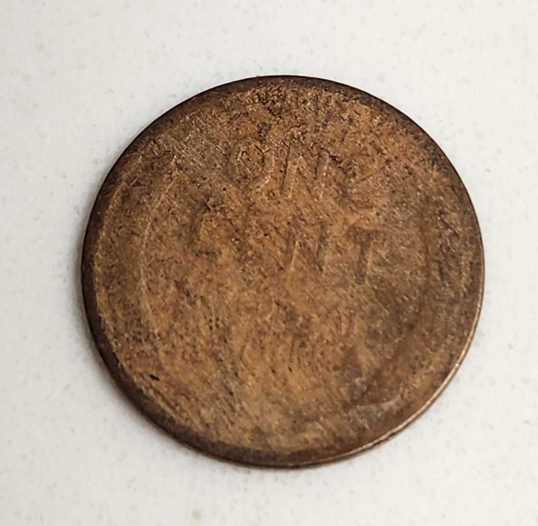 Woody-Penny-Or-Damage?