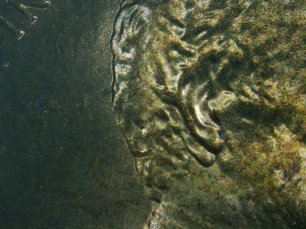 1984-P-Lincoln-Memorial-Cent-WDDO-001-+-Raised-Facial-Material