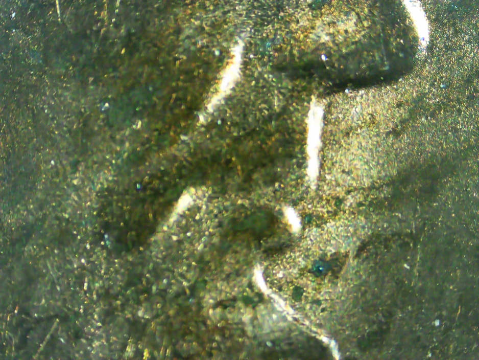 1984-P-Lincoln-Memorial-Cent-WDDO-001-+-Raised-Facial-Material