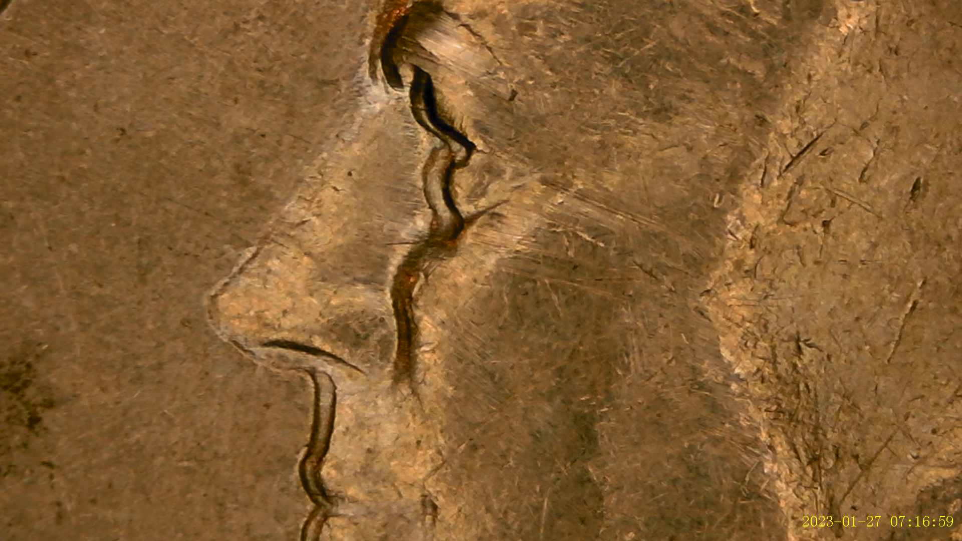 1983-D-Kennedy-Half---Error-Or-Air?-Two-Faced-Kennedy.