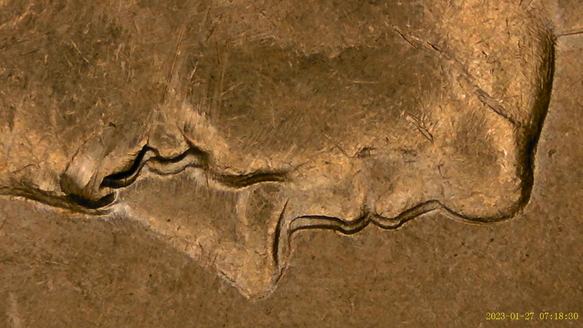 1983-D-Kennedy-Half---Error-Or-Air?-Two-Faced-Kennedy.