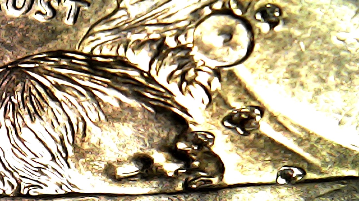 Small-Pits-In-Sacagewea-Dollar.-2007-D