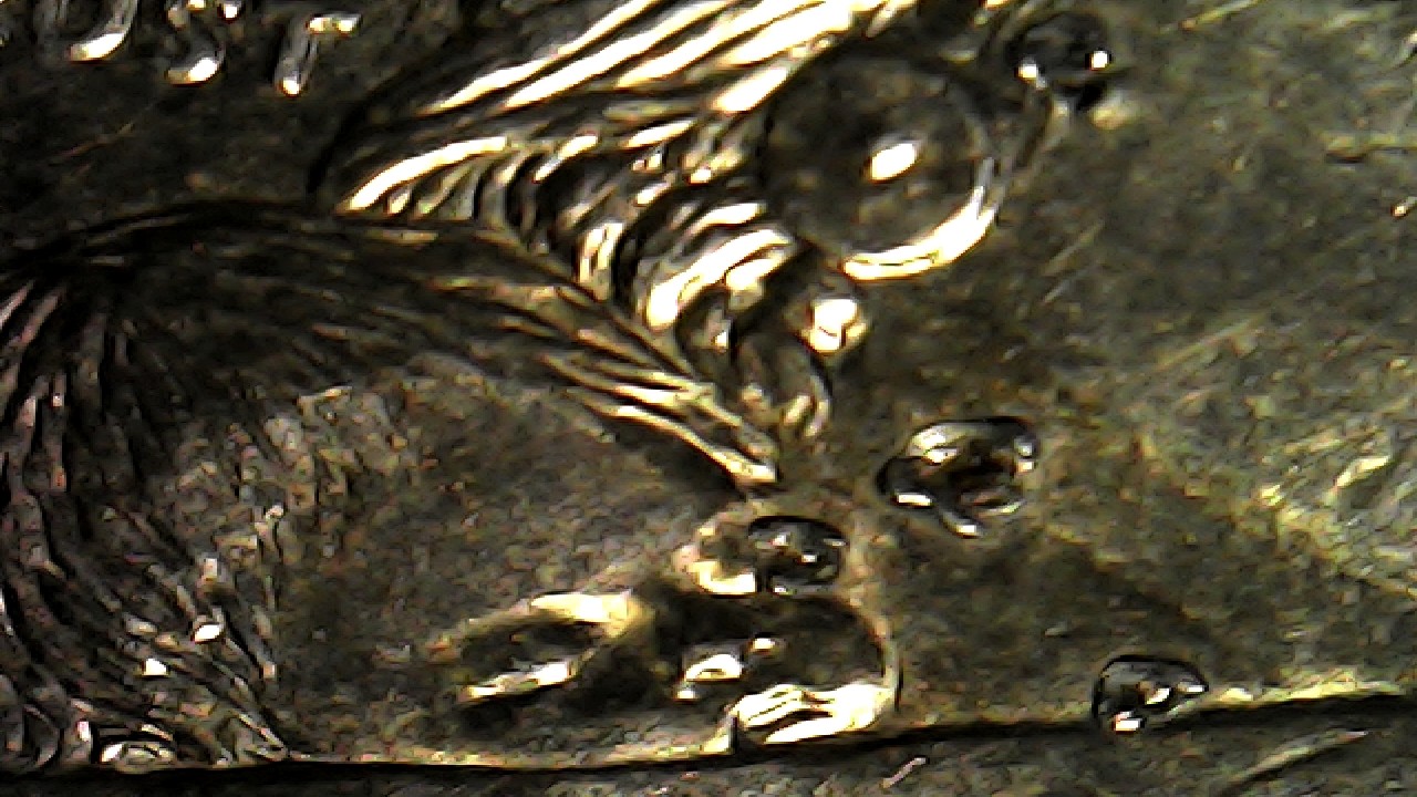 Small-Pits-In-Sacagewea-Dollar.-2007-D
