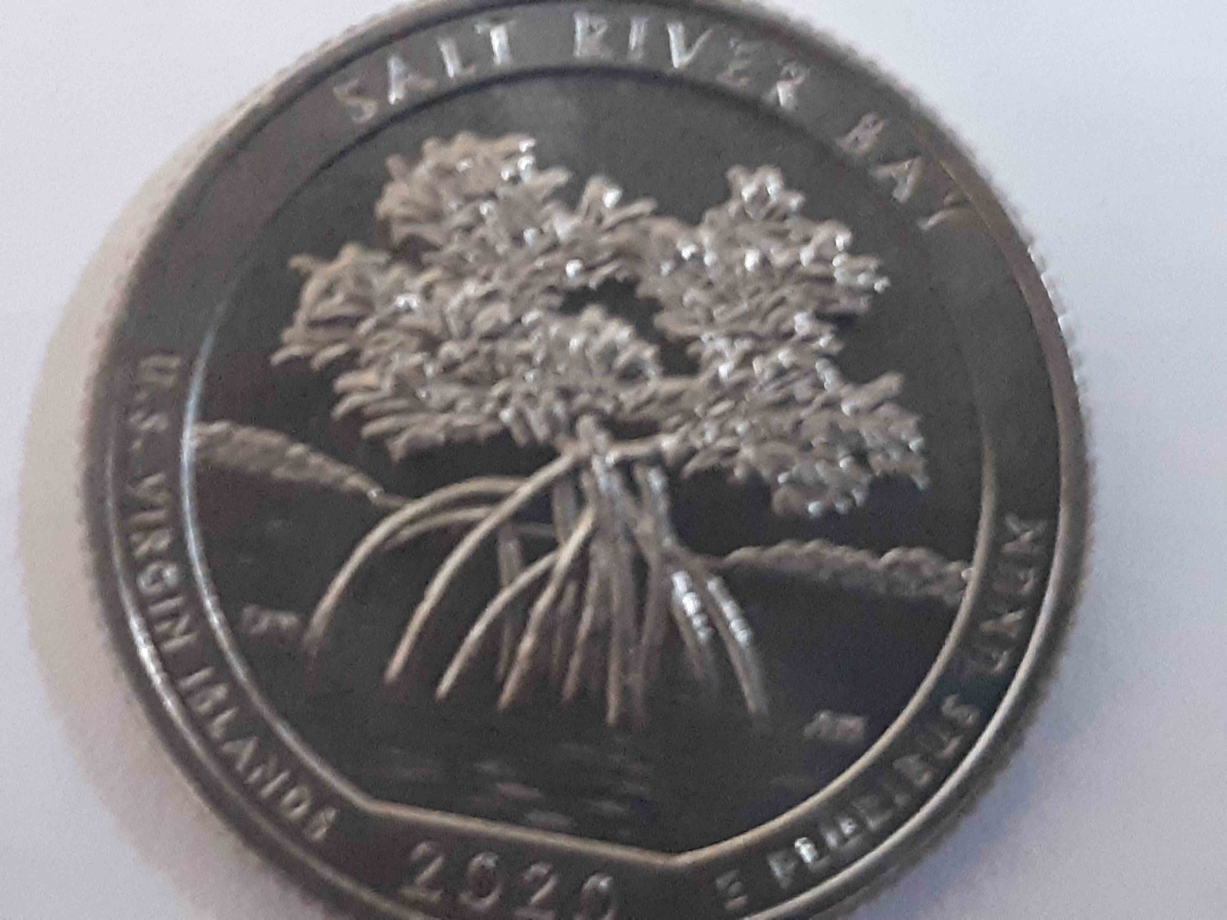 Interesting-Find-From-Circulation