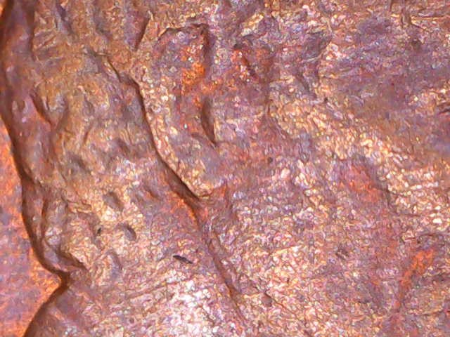 Is-It-Possible-For-A-1984-D-Penny-To-Have-A-Doubled-Ear?