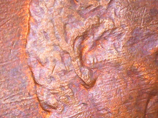 Is-It-Possible-For-A-1984-D-Penny-To-Have-A-Doubled-Ear?