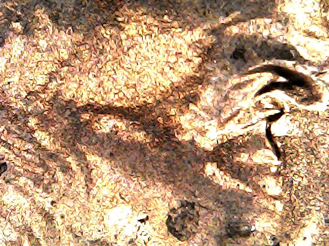 2007-D-DDO-Lmc-Doubled-Full-Eyelid