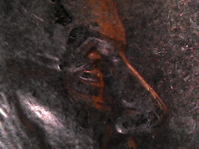 2000-D-LMC,-Thickness-Under-Eye