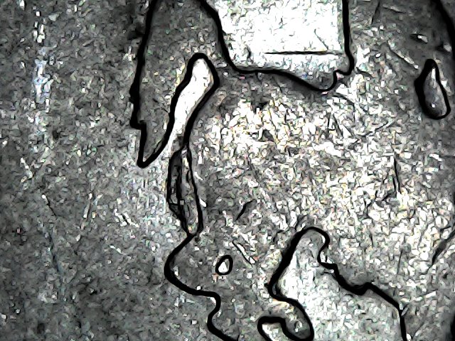 2007-P-Quarter,-Pooping-Horse