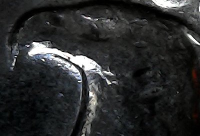 1987-D-Quarter,-Weird-Beak