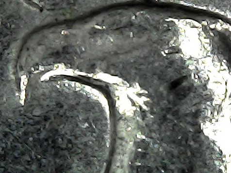 1987-D-Quarter,-Weird-Beak