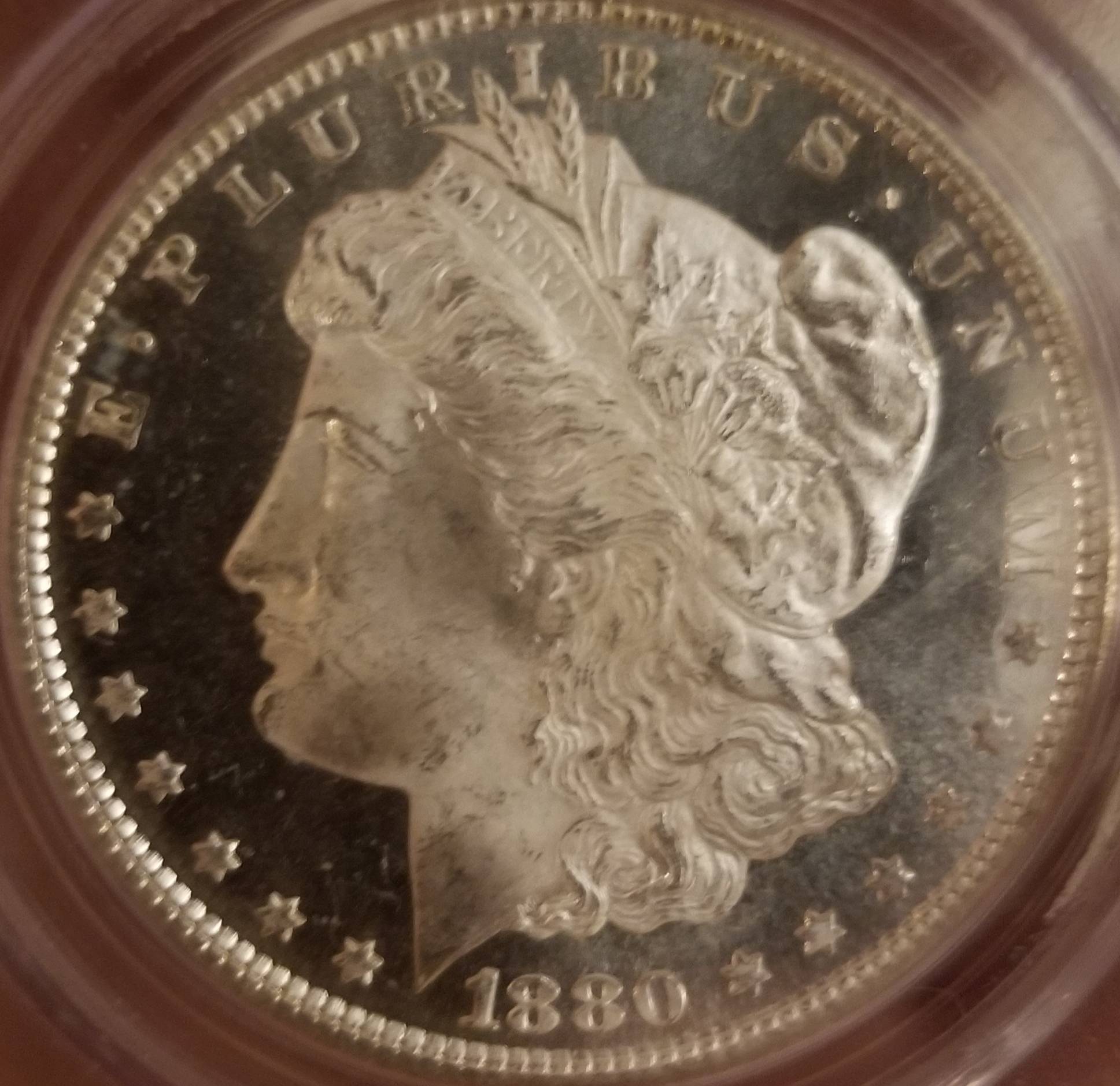 Guess-The-Grade-Morgan-Dollar