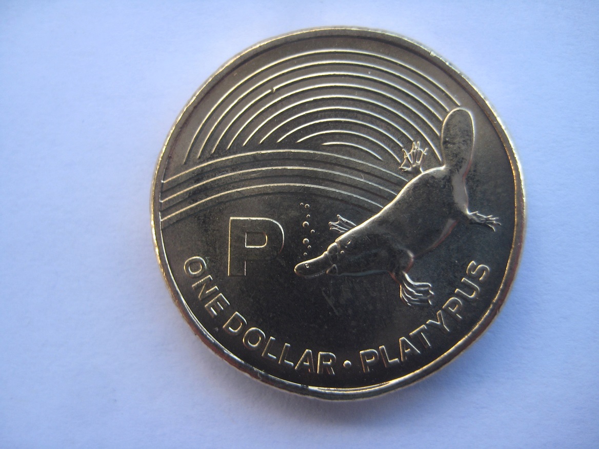 Task---To-Noodle-A-Complete-Set-Of-The-Great-Aussie-Coin-Hunt--'A'-To-'Z'