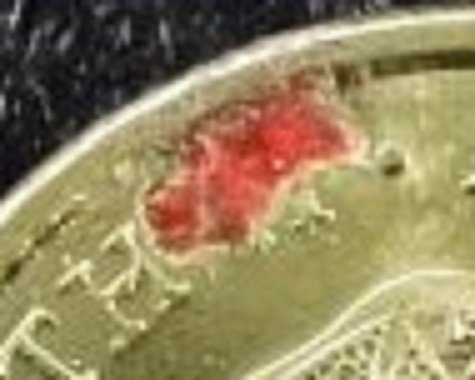 2022-2-Dollars---Struck-On-Foreign-Object?