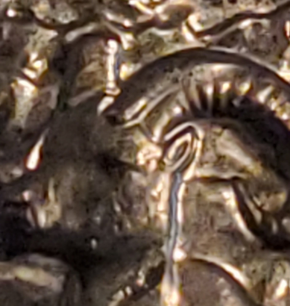 Denali-2012-D-Double-Die-Ear-And-Horn