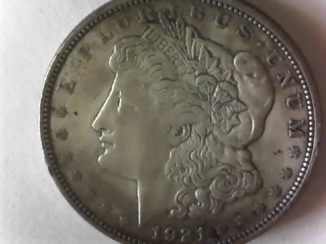 1921-D-Morgan-Silver-Dollar---Grade-Please?
