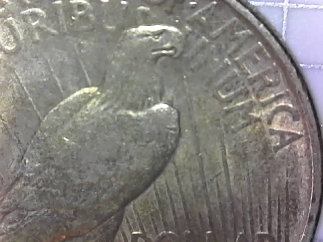 1922-D-Peace-Silver-Dollar---Approximate-Grade?