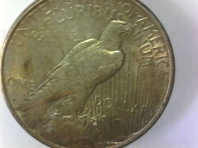 1922-D-Peace-Silver-Dollar---Approximate-Grade?
