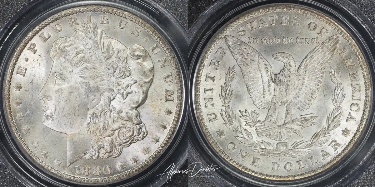 1880-CC-Morgan-Dollar---Which-Variety,-If-Any?
