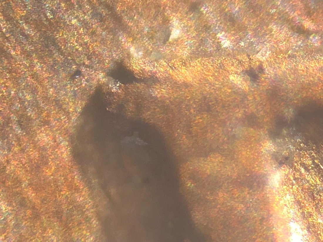 1952-D-Lincoln-Cent-RPM?