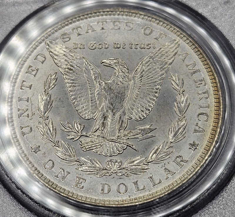 1887-P-Morgan-Dollar:-New-Acquisition:-Can-You-Guess-The-Grade?