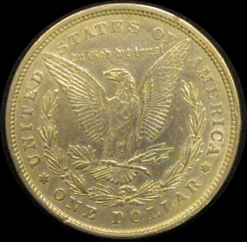 28-Days-Of-Morgans