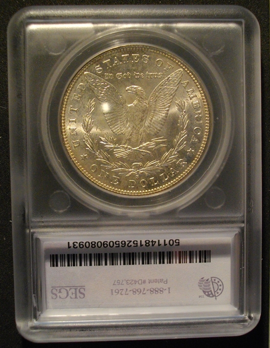 28-Days-Of-Morgans